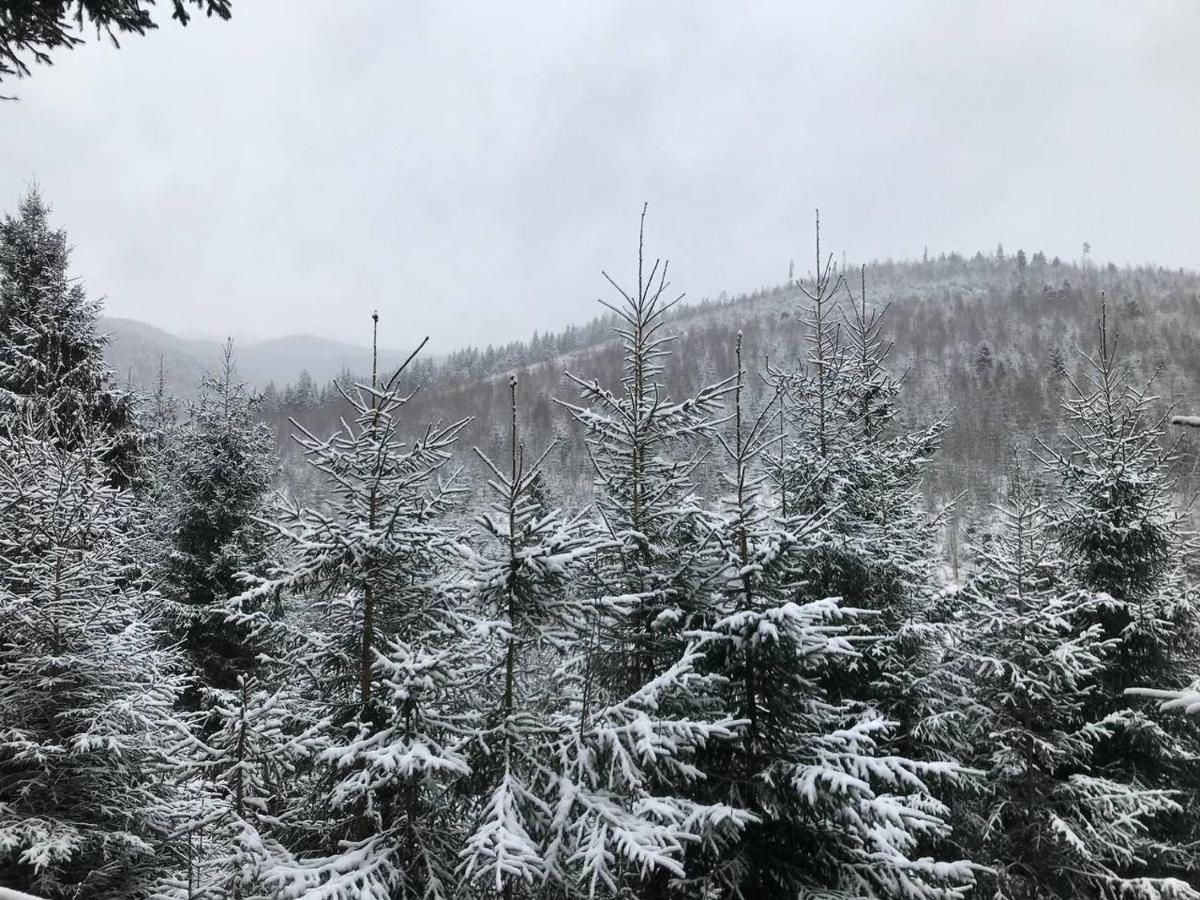 Konopka Forest & فندق بوكوفِل