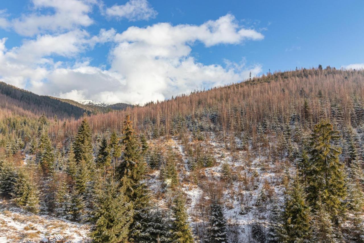 Konopka Forest & Bukovel