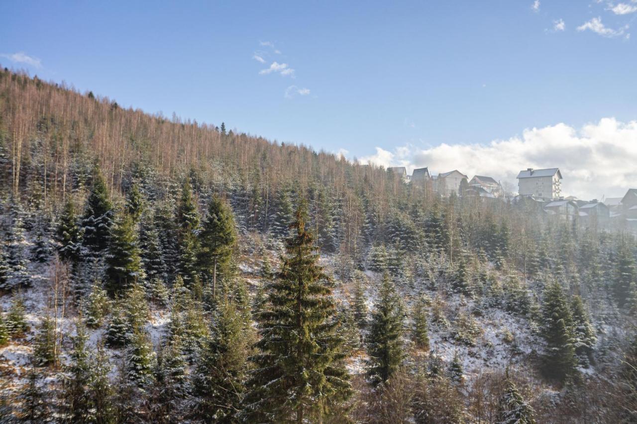 Konopka Forest & *