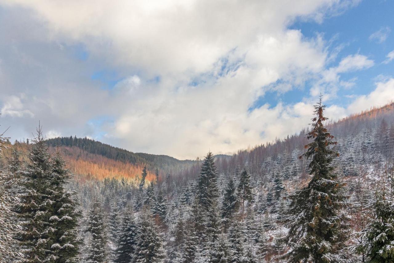 Konopka Forest & *