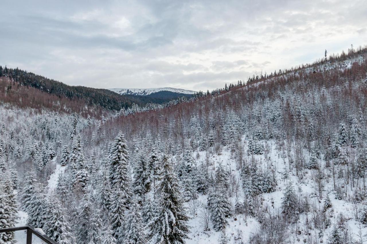 Otel Konopka Forest & Bukovel