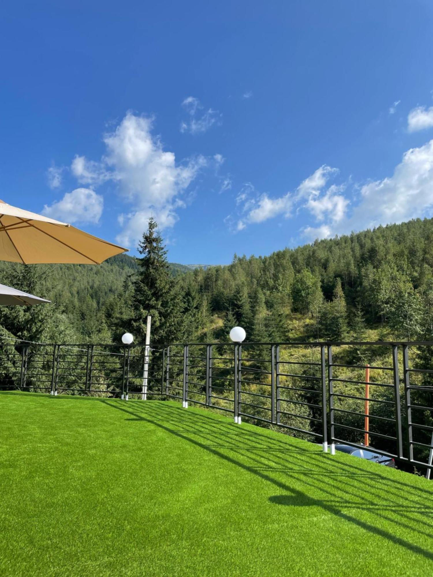 Konopka Forest & * Bukovel